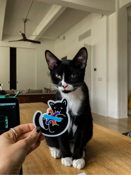 Black and white cat next to it's doppleganger cat Sourcegraph sticker